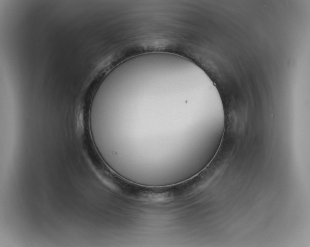 X0000114240638200910161634