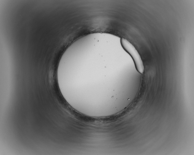 X0000114240641200910161634