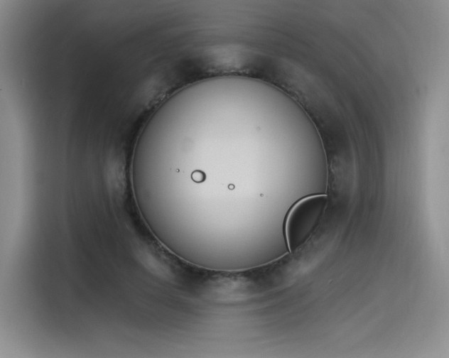 X0000114240642200910161634