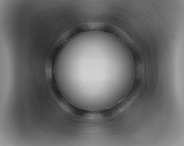 X0000114240644200910161634