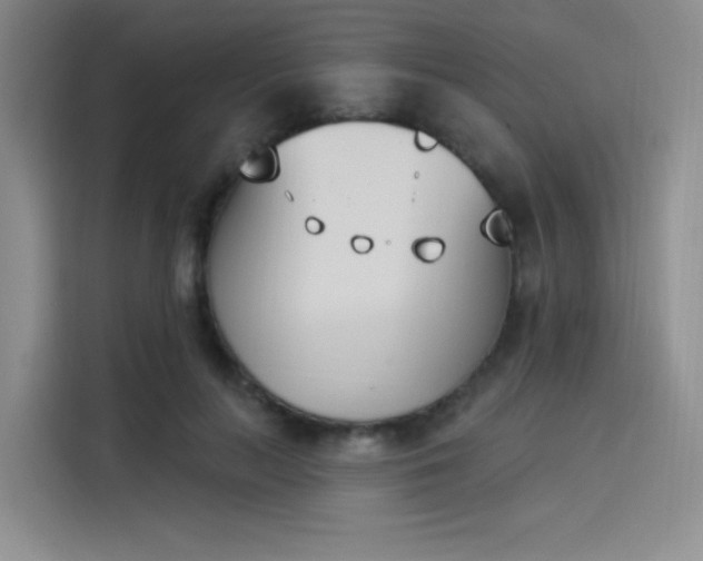 X0000114240647200910161634