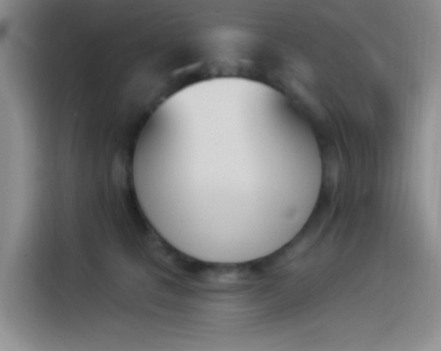 X0000114240661200910161634