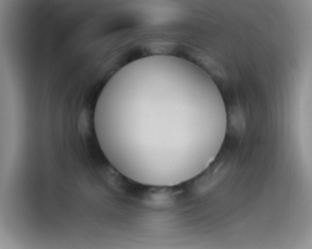 X0000114240667200910161635
