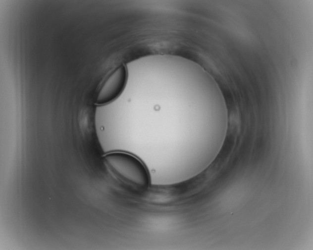X0000114240671200910161635