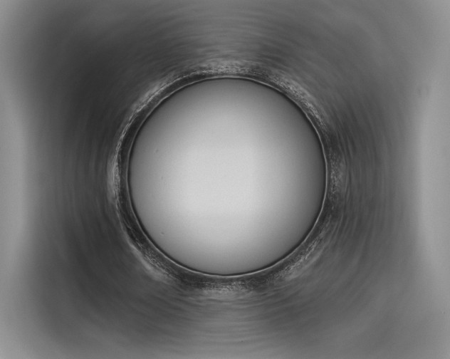 X0000114240674200910161634