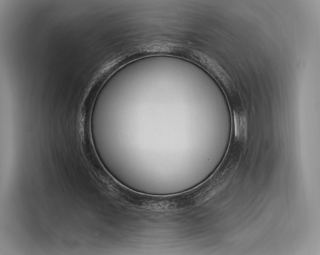 X0000114240675200910161634