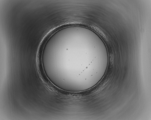 X0000114240676200910161634