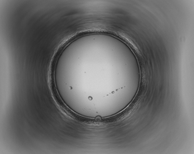 X0000114240677200910161634