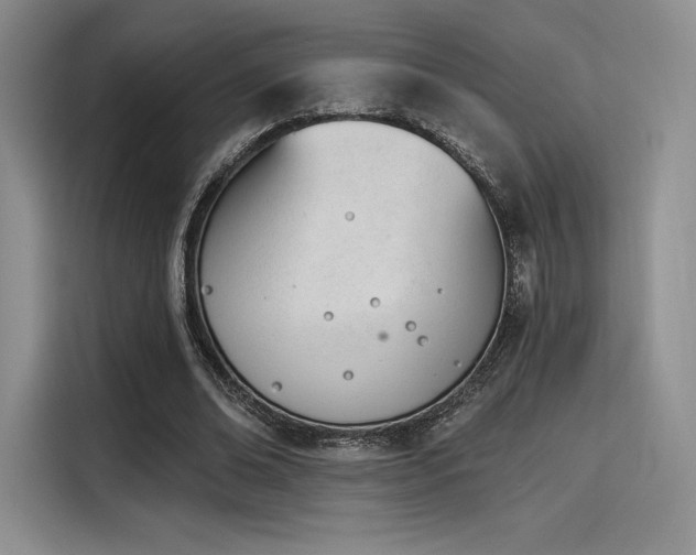 X0000114240678200910161634