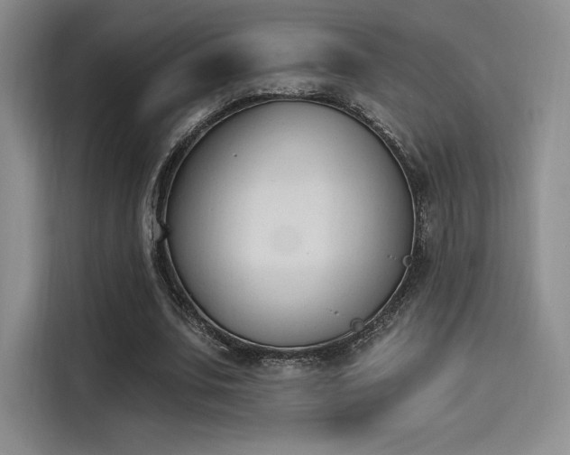 X0000114240679200910161634
