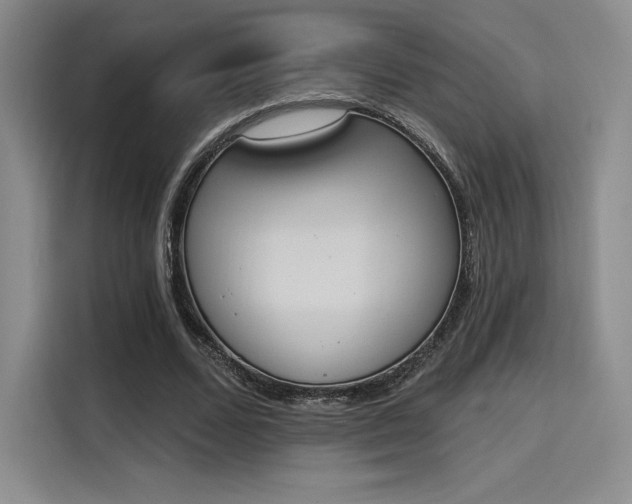 X0000114240680200910161634