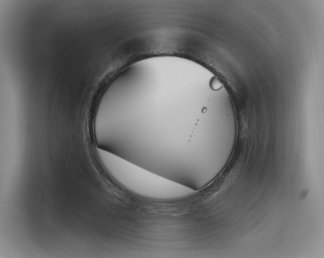 X0000114240681200910161634
