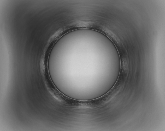 X0000114240682200910161634