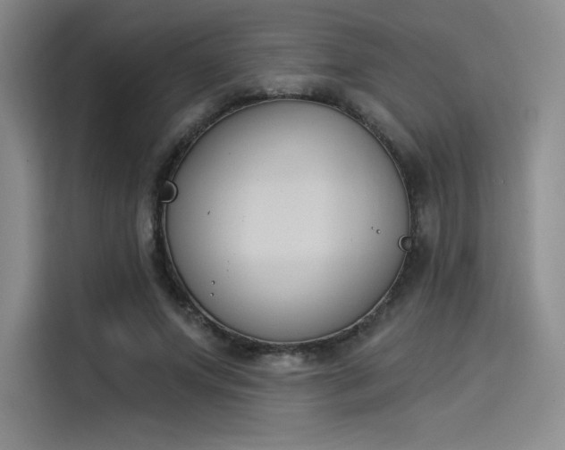 X0000114240687200910161634