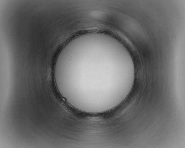 X0000114240689200910161634