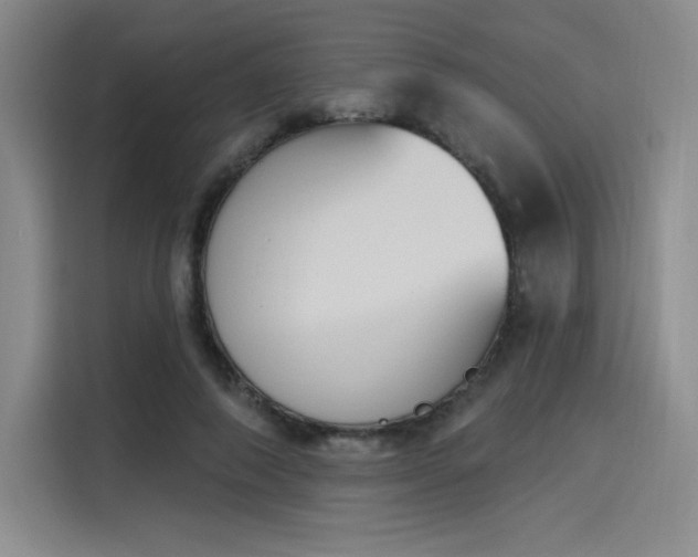 X0000114240690200910161634