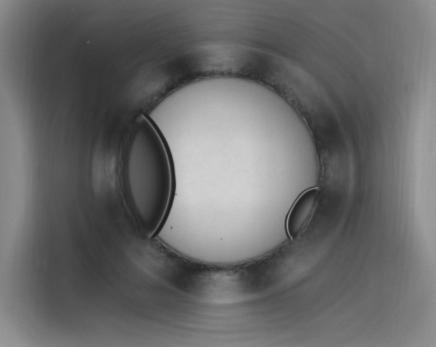 X0000114240692200910161634