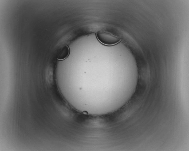 X0000114240696200910161634