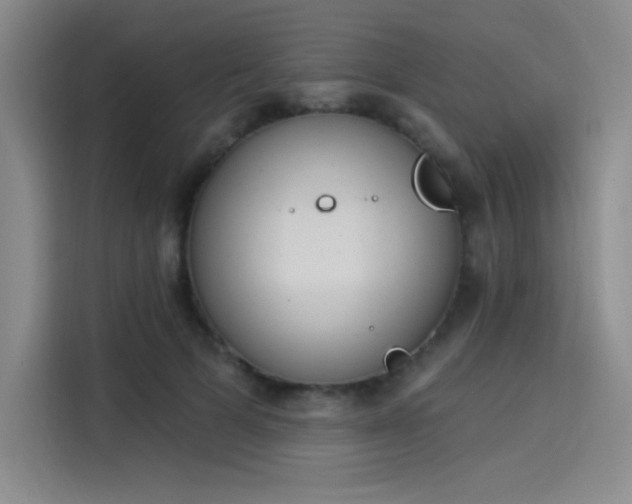 X0000114240697200910161634