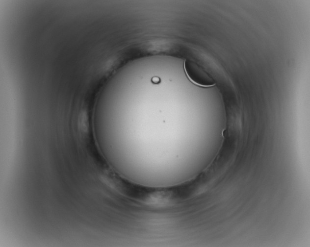 X0000114240700200910161634