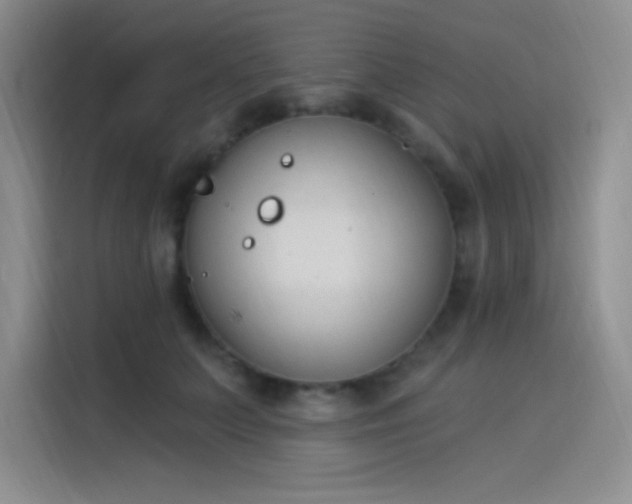 X0000114240703200910161634