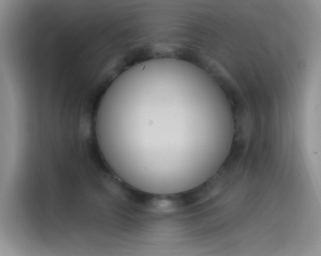 X0000114240706200910161633