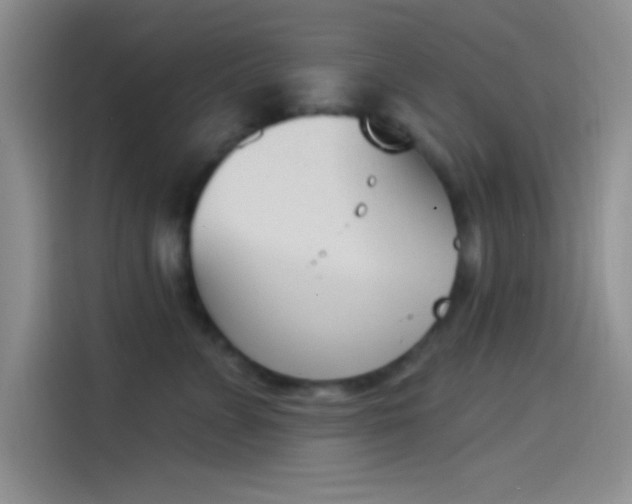 X0000114240715200910161633