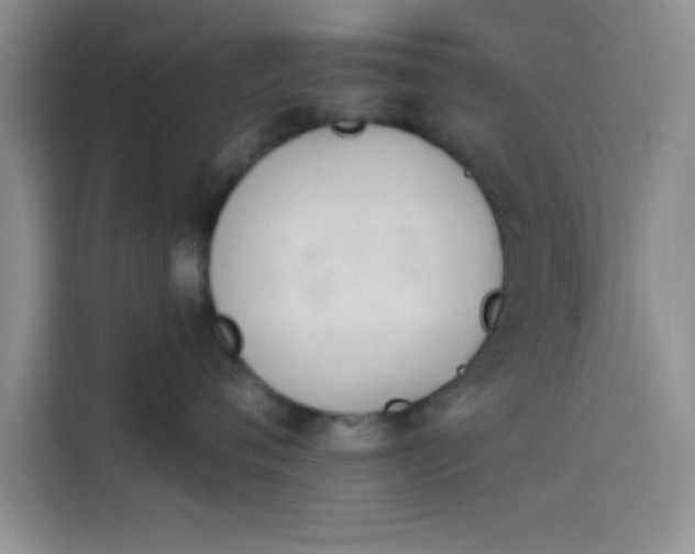 X0000114240720200910161633