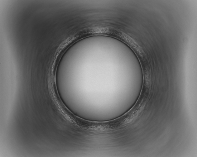 X0000114240721200910161633