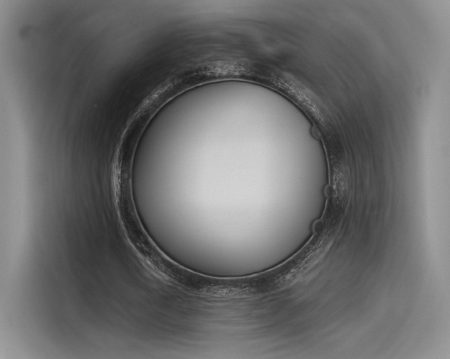 X0000114240722200910161633
