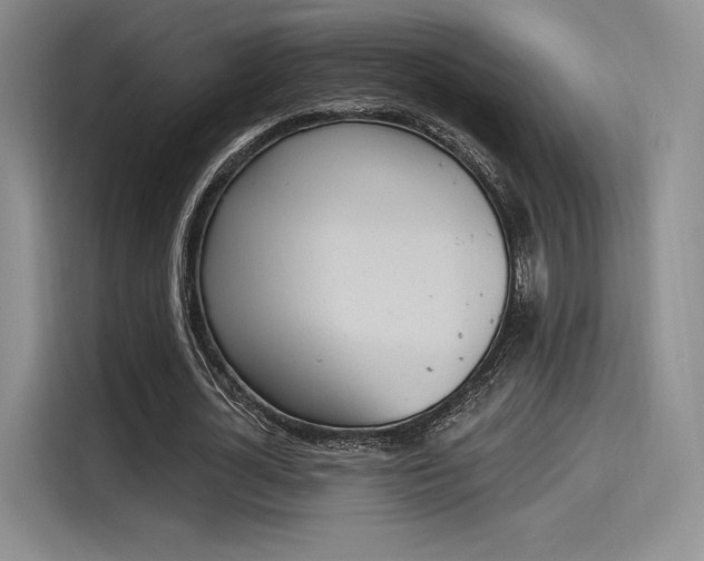 X0000114240724200910161633