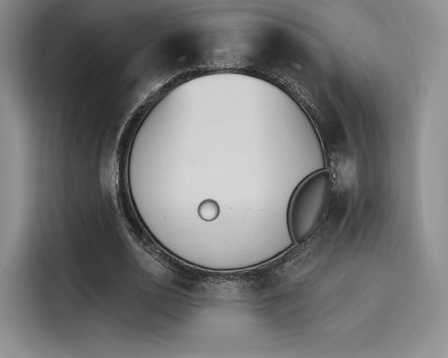 X0000114240726200910161633