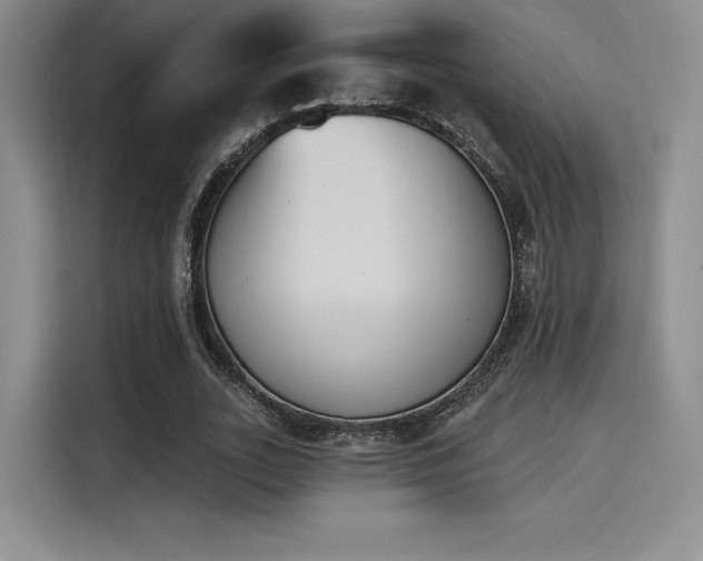 X0000114240727200910161633