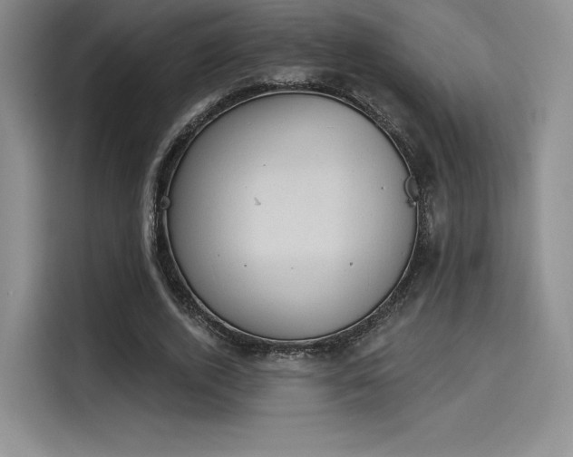 X0000114240728200910161633