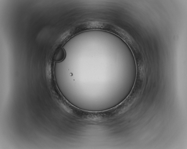 X0000114240729200910161633