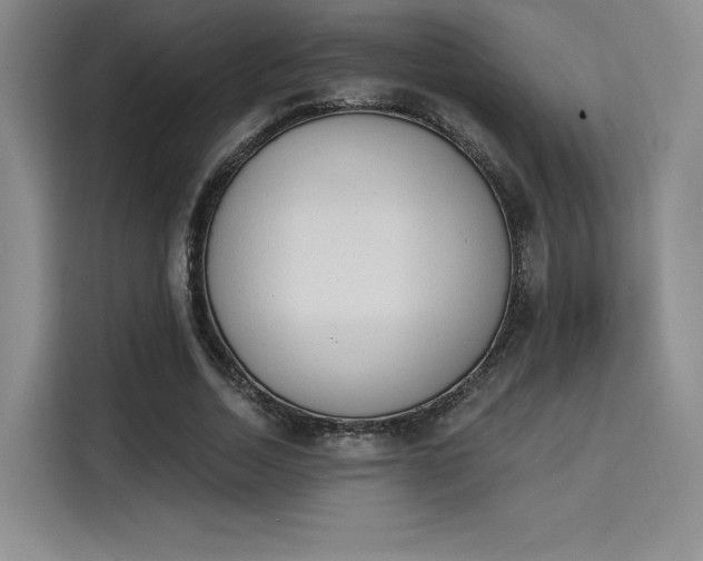 X0000114240730200910161633