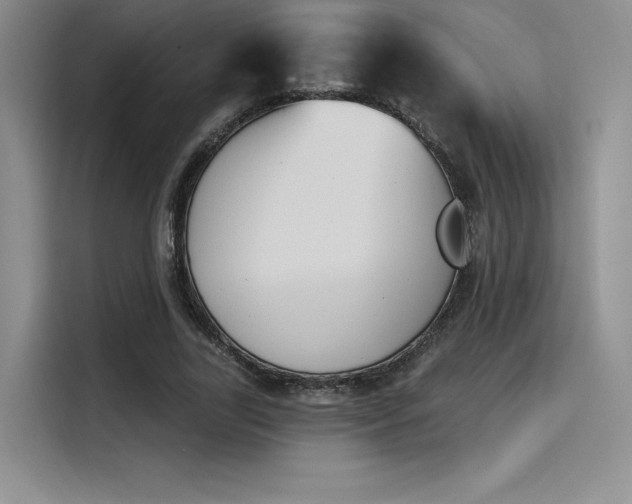 X0000114240731200910161633
