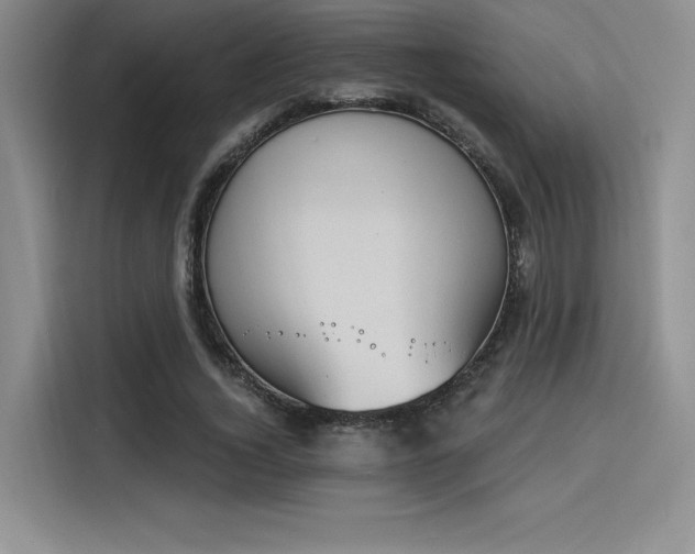 X0000114240732200910161633