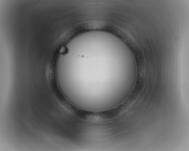 X0000114240743200910161633