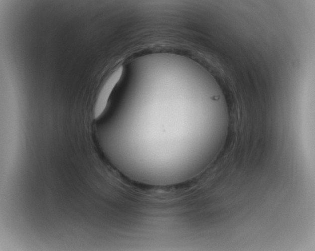 X0000114240756200910161633