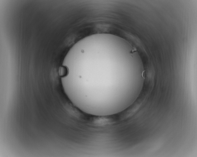 X0000114240759200910161633
