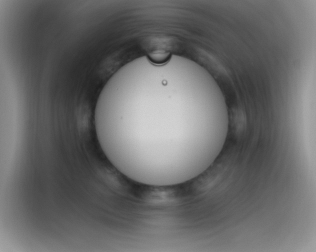 X0000114240760200910161633