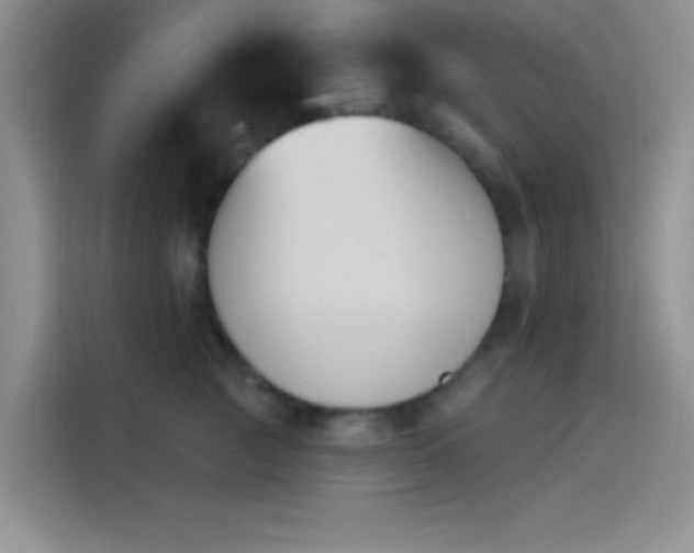 X0000114240761200910161633