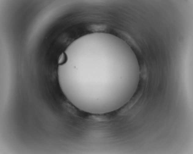 X0000114240763200910161633