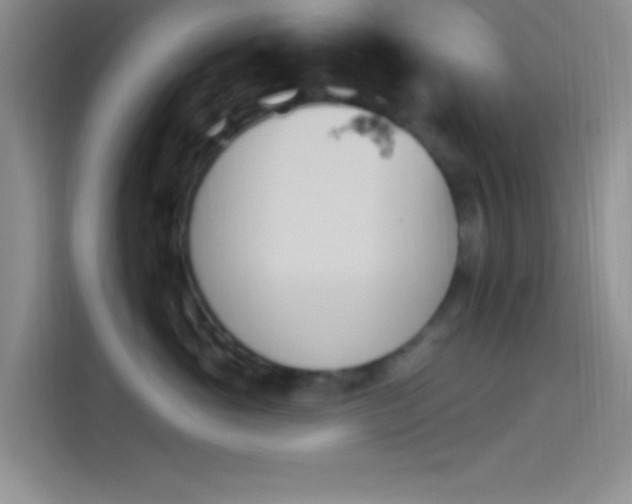 X0000114240765200910161633