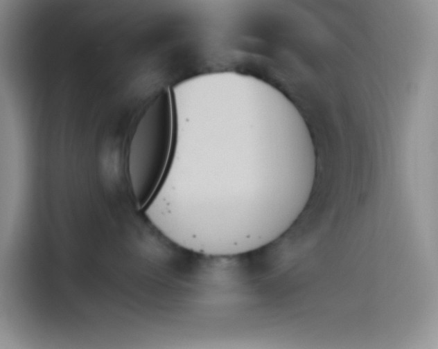 X0000114240768200910161633