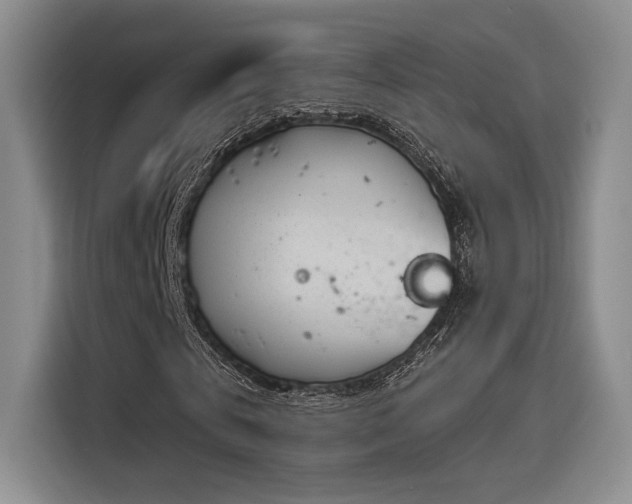 X0000114240769200910161633
