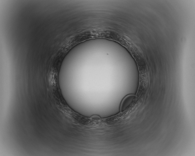 X0000114240770200910161633