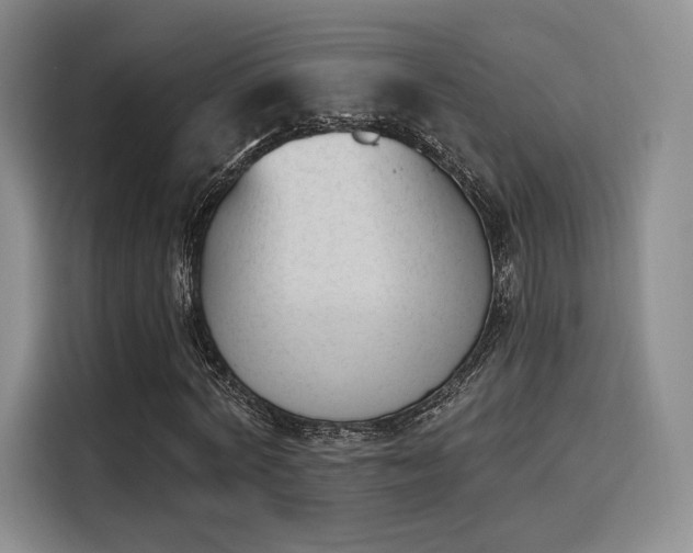 X0000114240772200910161632