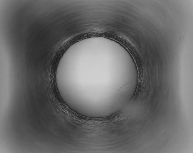 X0000114240773200910161632